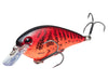 Strike King KVD Square Bill 1.5 Hard Knock Chili Craw