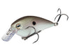 Strike King KVD Square Bill 1.5 Hard Knock Green Gizzard Shad