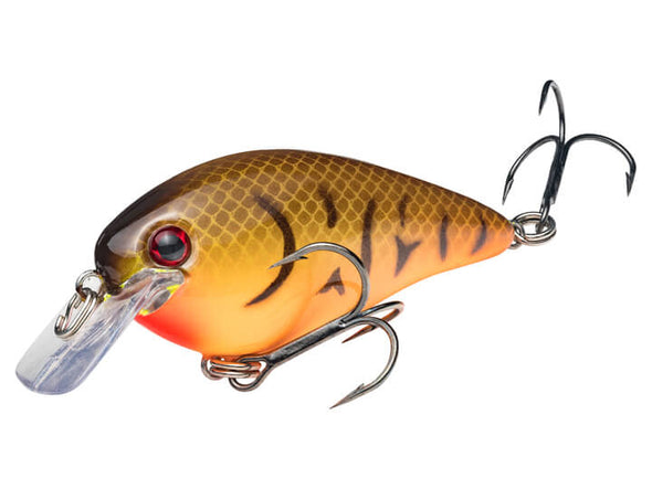 Strike King KVD Square Bill 1.5 Hard Knock Orange Belly Craw