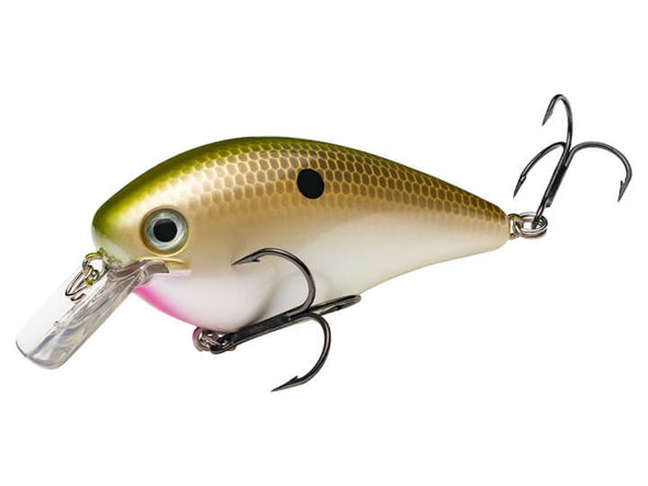 Strike King KVD Square Bill 4.0 Tennessee Shad