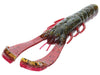 Strike King Scounbug Falcon Lake Craw